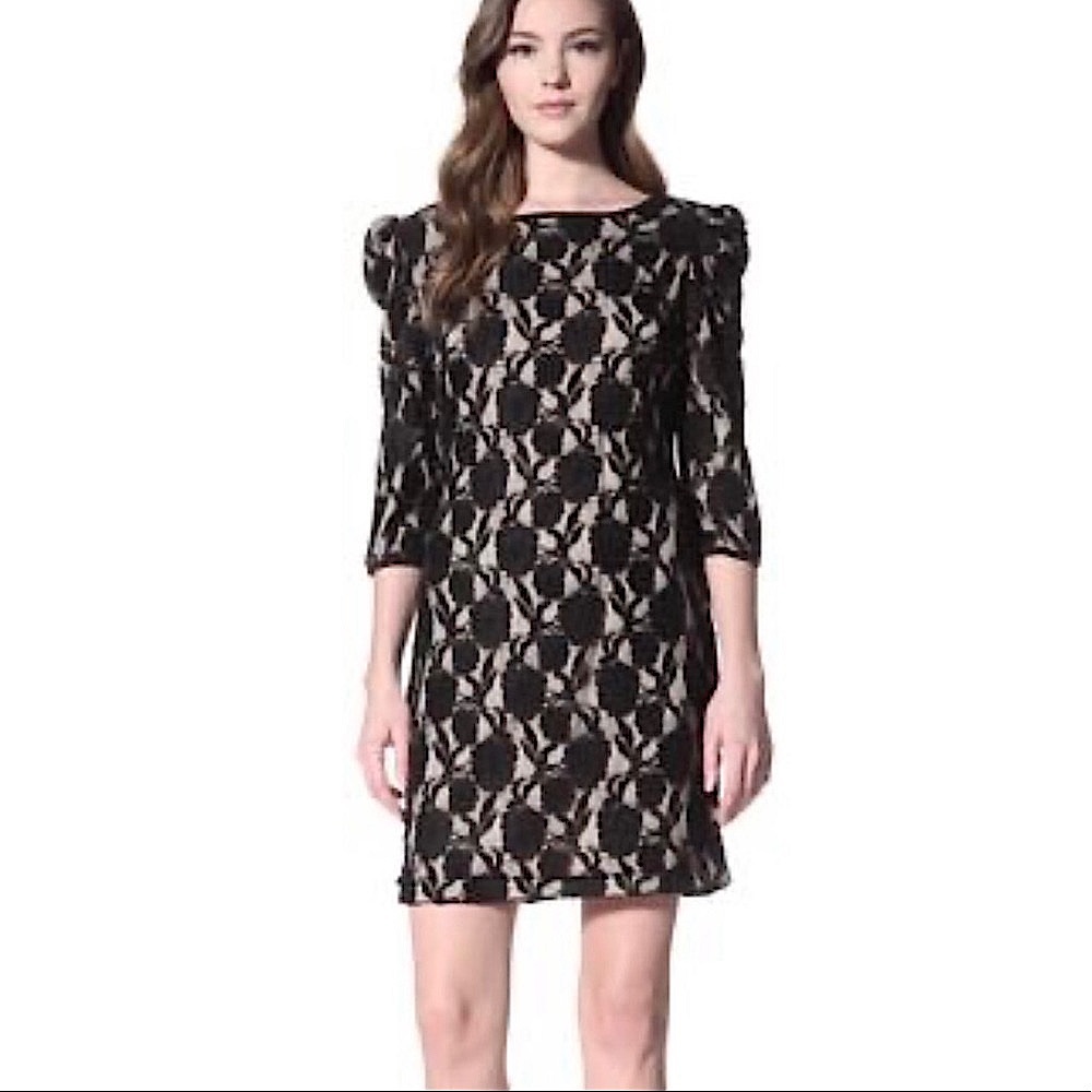 BACCI Lace Black Dress